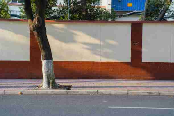 【幕后揭秘】最新大赛内容赛程看点真实内幕曝光