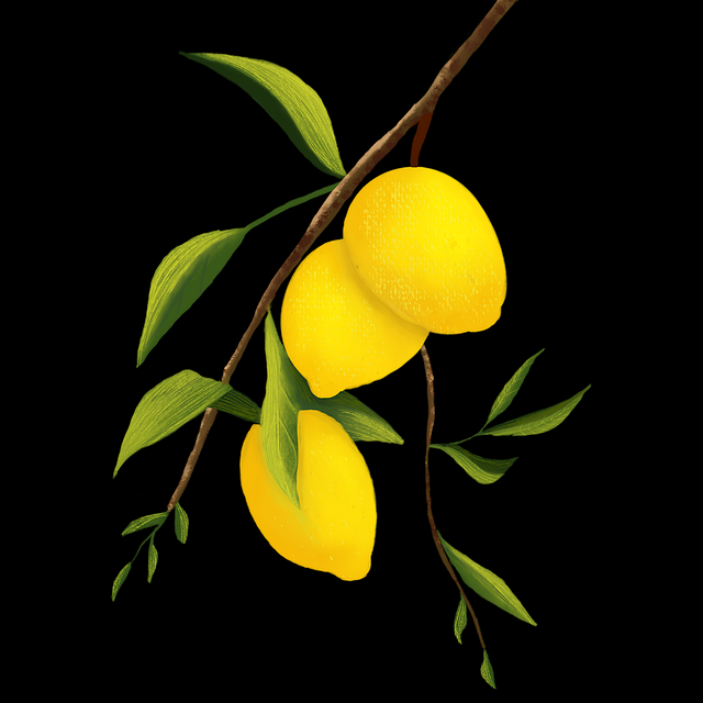 【官方】海角网址粉丝狂欢全流程