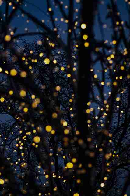 图解版：海角社区论坛深度复盘快闪阅读