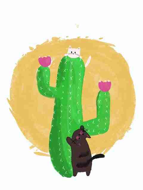 【深度解析】每日大赛今日2025年05月热门话题全方位拆解