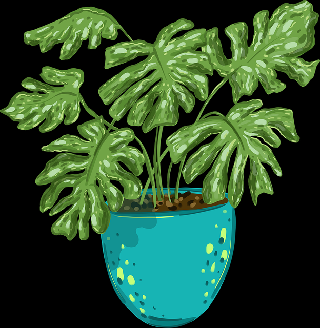 糖心tv专家点评全景复盘：商业模式完整版