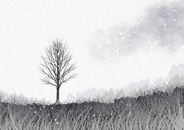 最新一期每日大赛在线免费观看到底有多炸？热搜实锤！（479 ）