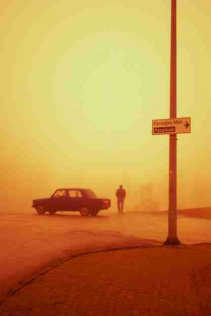 野生百科——91黑料、91网：2025前瞻实录