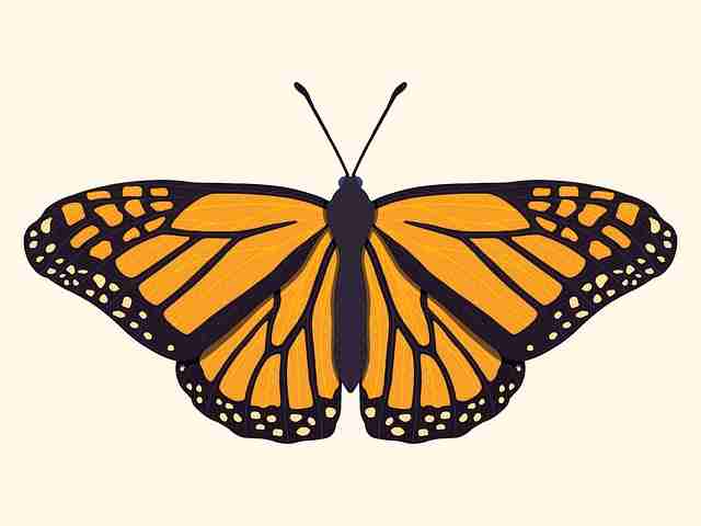 超详细！糖心vlog入口官网大神秘籍一图读懂